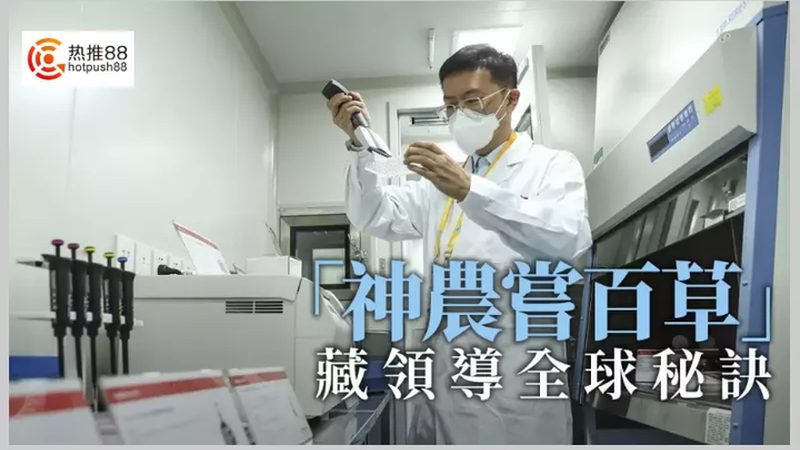 癌症基因检测准确率对比：揭秘精准医疗的"金标准