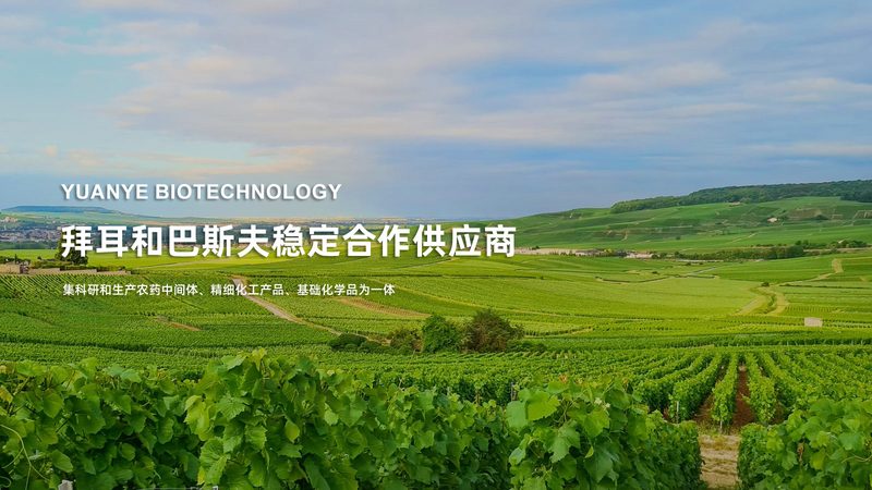 ADC药物CDMO厂家选择：揭秘关键考量因素
