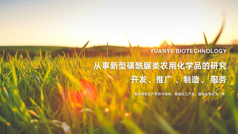 液体酶制剂储存方法：关键要点与误区解析