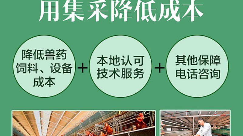 PCR检测报告时间，揭秘其背后的标准与流程