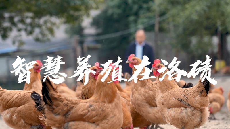 聚苯乙烯还是聚碳酸酯？科研用细胞培养瓶材质选择背后的工艺逻辑