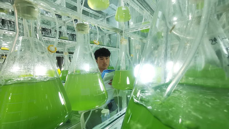 医用离心管：揭秘其背后的技术奥秘与选购要点**
